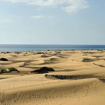 Meloneras Oasis 44 By Canaryscape * San Bartolomé